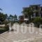 Aspasia Studios_lowest prices_in_Hotel_Ionian Islands_Kefalonia_Kefalonia'st Areas