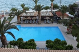 Evvoiki Akti Hotel_best deals_Hotel_Central Greece_Viotia_Thiva