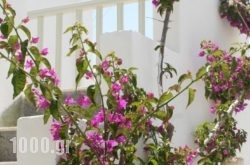 Korali Hotel And Apartments in Syros Rest Areas, Syros, Cyclades Islands