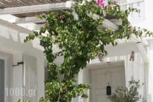 Korali Hotel And Apartments_best deals_Apartment_Cyclades Islands_Antiparos_Antiparos Chora