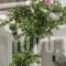 Korali Hotel And Apartments_best deals_Apartment_Cyclades Islands_Antiparos_Antiparos Chora