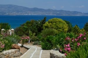 Peristeri Apartments_best deals_Apartment_Cyclades Islands_Antiparos_Antiparos Chora