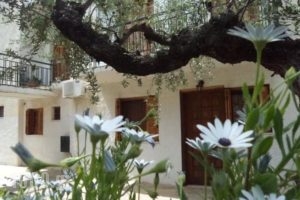 Oasis Apartments_holidays_in_Apartment_Thessaly_Magnesia_Pilio Area