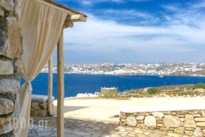 Blue Ocean Mykonos_best prices_in_Hotel_Cyclades Islands_Mykonos_Mykonos ora