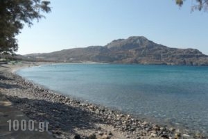 Irida Studios_holidays_in_Hotel_Crete_Rethymnon_Plakias