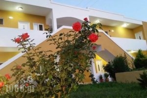 Anemones Studios & Apartments_best deals_Apartment_Dodekanessos Islands_Kos_Kos Rest Areas