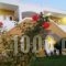 Anemones Studios & Apartments_best deals_Apartment_Dodekanessos Islands_Kos_Kos Rest Areas