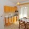 Eva Apartments_best prices_in_Apartment_Aegean Islands_Thasos_Limenaria