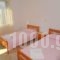 Eva Apartments_best deals_Apartment_Aegean Islands_Thasos_Limenaria