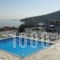 Blue Dolphin Studios And Apartment_best deals_Apartment_Piraeus Islands - Trizonia_Aigina_Aigina Chora