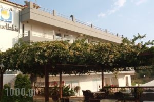 Hotel Kanellakis_lowest prices_in_Hotel_Thessaly_Magnesia_Pilio Area