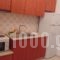 Maria Studios_best deals_Hotel_Sporades Islands_Skiathos_Skiathoshora