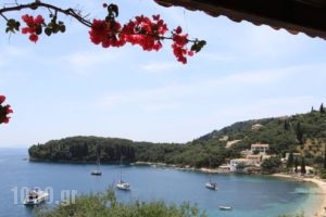 Votsalo Kalamiapartments_accommodation_in_Apartment_Ionian Islands_Corfu_Corfu Rest Areas