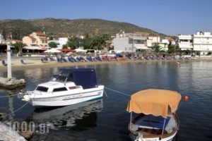 Hotel Stella_lowest prices_in_Hotel_Thessaly_Magnesia_Chania