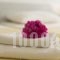 Edgewater Studios_lowest prices_in_Hotel_Crete_Chania_Kissamos
