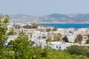 Vivere A Plakes_best prices_in_Hotel_Cyclades Islands_Milos_Milos Chora