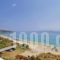 Rosa'S Beach Studios_travel_packages_in_Ionian Islands_Kefalonia_Vlachata