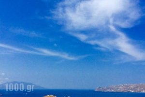 Blue Ocean Mykonos_accommodation_in_Hotel_Cyclades Islands_Mykonos_Mykonos ora