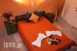 Kapares Studios in Agia Anna, Naxos, Cyclades Islands