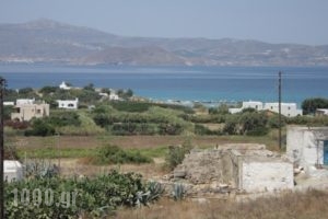 Kapares Studios_lowest prices_in_Hotel_Cyclades Islands_Naxos_Agia Anna