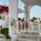 Paros Rita Studios_holidays_in_Hotel_Cyclades Islands_Paros_Alyki