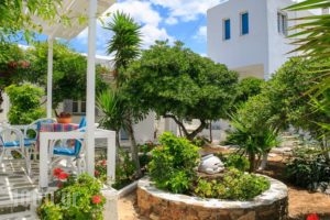 Paros Rita Studios_travel_packages_in_Cyclades Islands_Paros_Alyki