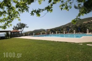 Electra Apartments & Studios_holidays_in_Apartment_Aegean Islands_Samos_Pythagorio