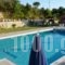 Electra Apartments & Studios_best deals_Apartment_Aegean Islands_Samos_Pythagorio