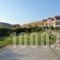 Fereniki Studios_best prices_in_Hotel_Aegean Islands_Limnos_Platy