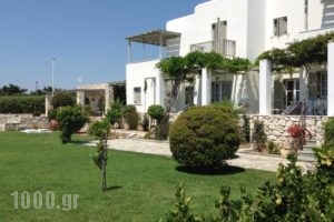 Elizabeth_holidays_in_Hotel_Cyclades Islands_Paros_Paros Chora