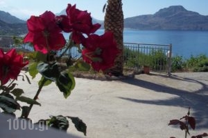 Joanna Studios_holidays_in_Hotel_Crete_Rethymnon_Plakias