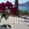 Joanna Studios_holidays_in_Hotel_Crete_Rethymnon_Plakias