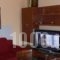 Alena Apartments_lowest prices_in_Apartment_Crete_Chania_Chania City