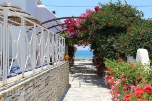 Mare Monte_lowest prices_in_Hotel_Cyclades Islands_Ios_Koumbaras