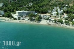 New Aegli Hotel in Athens, Attica, Central Greece