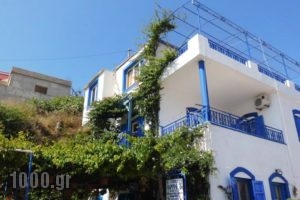 Studios Happiness_holidays_in_Hotel_Ionian Islands_Lefkada_Drimonas