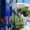 Studios Happiness_lowest prices_in_Hotel_Ionian Islands_Lefkada_Drimonas