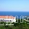 Climati Studios_best deals_Hotel_Ionian Islands_Zakinthos_Zakinthos Rest Areas