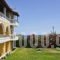 Studios Petra_accommodation_in_Hotel_Ionian Islands_Zakinthos_Zakinthos Rest Areas