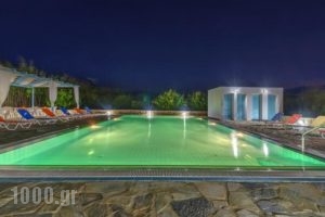 Hotel Smaragdi Apartments_best deals_Apartment_Cyclades Islands_Syros_Posidonia