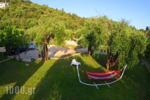 Anneta Studios_best deals_Hotel_Ionian Islands_Lefkada_Sivota