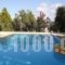 Nimfes Villas_best deals_Villa_Crete_Lasithi_Ierapetra