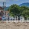 Asteras Hotel_best deals_Hotel_Macedonia_Halkidiki_Toroni