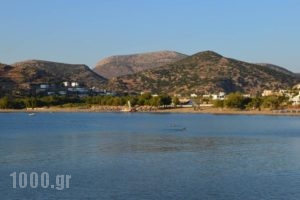 Angelino Rooms_holidays_in_Room_Cyclades Islands_Syros_Galissas