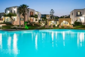 Acqua Marina Resort_accommodation_in_Hotel_Cyclades Islands_Antiparos_Antiparos Chora