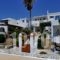 Porto Vlastos_best deals_Hotel_Cyclades Islands_Tinos_Agios Ioannis