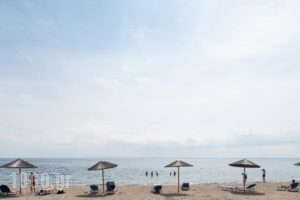 Alkinoos Beach Hotel_best deals_Hotel_Macedonia_Halkidiki_Nea Moudania