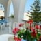 John's Rooms & Studios_best deals_Room_Cyclades Islands_Paros_Paros Chora