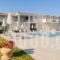 Vice Apartments_best deals_Apartment_Ionian Islands_Zakinthos_Laganas