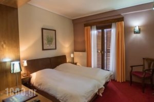 City Hotel Apollonion_best prices_in_Hotel_Central Greece_Evritania_Karpenisi